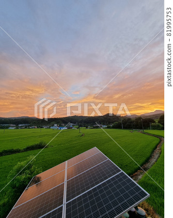 帶太陽能電池板的日落景觀 帶太陽能電池板的日落景觀 81995753