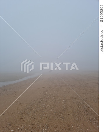 misty beach 81995893