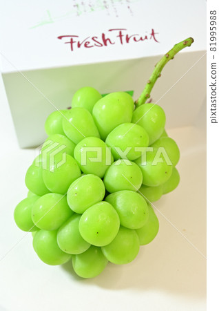 Special Shine Muscat for gifts Special Shine Muscat for gifts 81995988