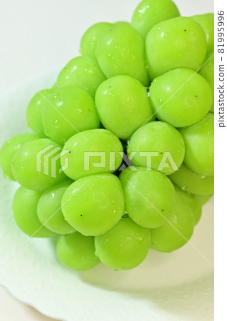 Special Shine Muscat Special Shine Muscat 81995996