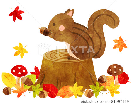 Illustration of a squirrel eating acorn on a stump that can be used in the fall (processed in a watercolor style) 81997169