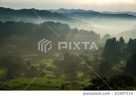 Hoshitoge fog 81997314