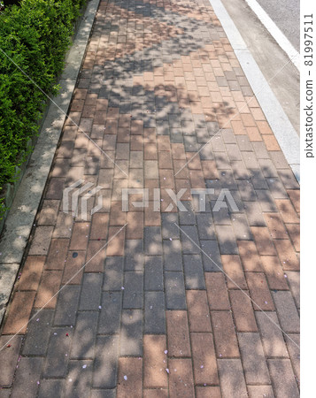 Sidewalk block 81997511