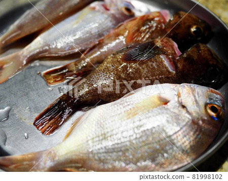 抓魚，處理魚，煮魚 81998102