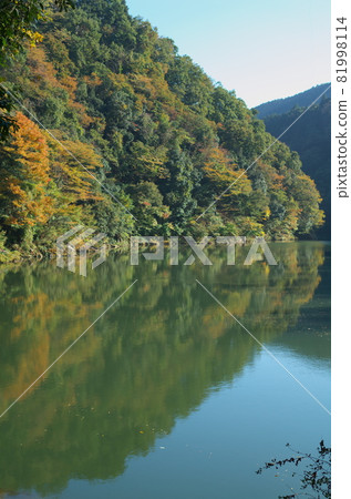 Autumn leaves are reflected on the surface of the water. Autumn leaves are reflected on the surface of the water. 81998114