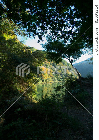 山上已經開始落葉了。 山上已經開始落葉了。 81998214