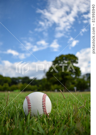 Green park and balls Green park and balls 81998940