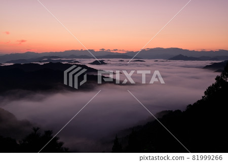 野坂川村的雲海 野坂川村的雲海 81999266