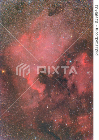 North America Nebula / Pelican Nebula 81999433