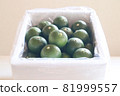 Sudachi Boxed 9 81999557