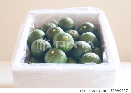 Sudachi Boxed 9 Sudachi Boxed 9 81999557