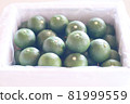 Sudachi Boxed 8 81999559
