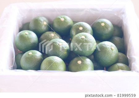 Sudachi Boxed 8 Sudachi Boxed 8 81999559