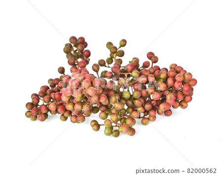 Zanthoxylum limonella Alston isolated on white background 82000562