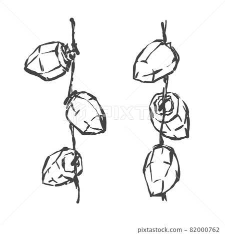 Hand-painted brush painting style illustration of dried persimmon Hand-painted brush painting style illustration of dried persimmon 82000762