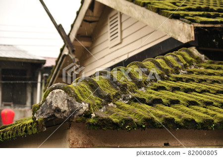 屋頂上的青苔 82000805