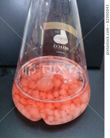 細胞培養 82000843