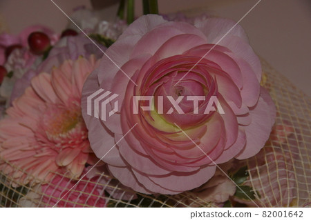 rose	 82001642