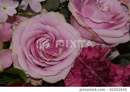 rose rose 82001648