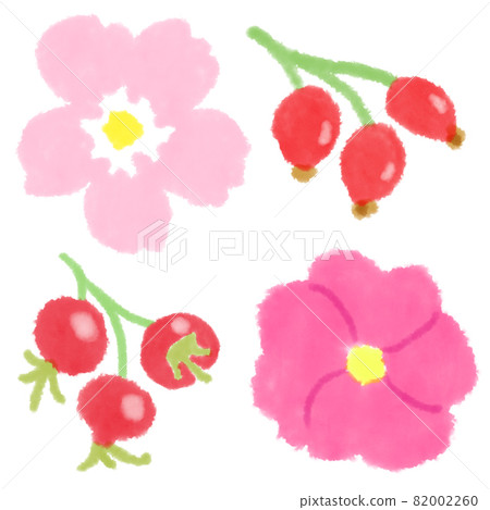 可愛的水彩插圖玫瑰果 可愛的水彩插圖玫瑰果 82002260