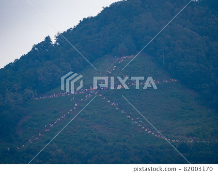 岡山山火床(京都市東山) 岡山山火床(京都市東山) 82003170