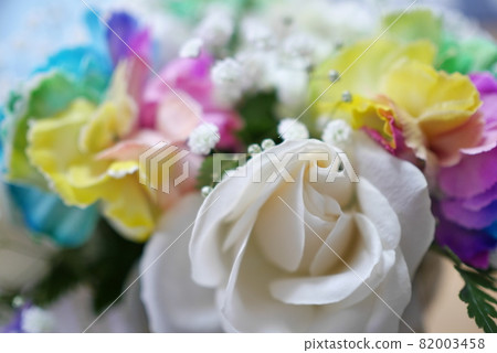 彩虹康乃馨 82003458