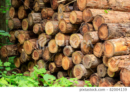 減少雪松木形象 82004139