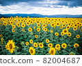 summer  82004687