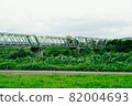 Oldest bridge 82004693