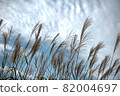 autumn 82004697
