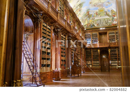 Beautiful library 82004882