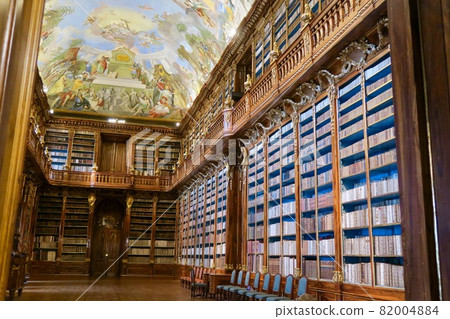 美麗的圖書館 82004884