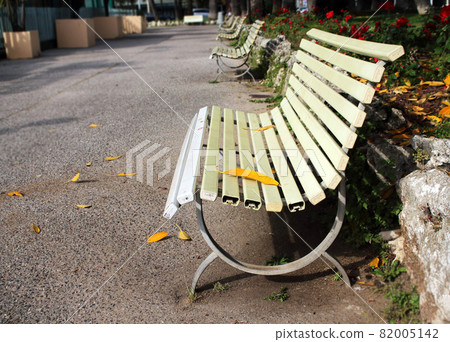 White curved bench with big yellow autumn fallen leaves standing in a park White curved bench with big yellow autumn fallen leaves standing in a park 82005142