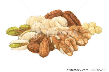 Various nuts hand-painted watercolor pencil illustrations Various nuts hand-painted watercolor pencil illustrations 82005735