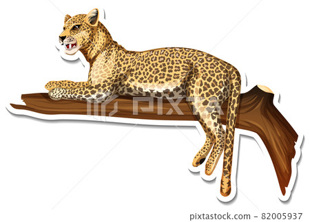 A sticker template of leopard cartoon character - Stock Illustration  [82005937] - PIXTA