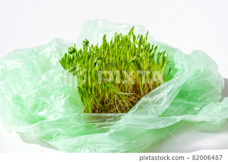 Young green plants in plastic bag. Ecology and Environment concept. Earth day concept. Global pollution of the planet. Seedling 82006487
