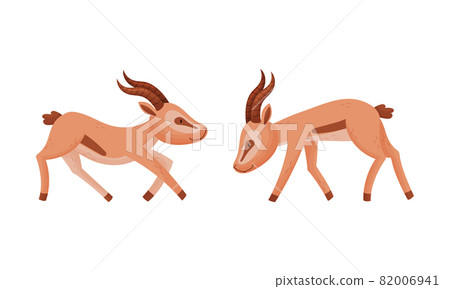 Standing African Gazelle as Fawn-colored Antelope Species with Curved Horn Vector Set Standing African Gazelle as Fawn-colored Antelope Species with Curved Horn Vector Set 82006941