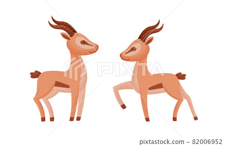 Standing African Gazelle as Fawn-colored Antelope Species with Curved Horn Vector Set Standing African Gazelle as Fawn-colored Antelope Species with Curved Horn Vector Set 82006952