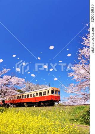 千葉縣櫻吹和小湊鐵道 千葉縣櫻吹和小湊鐵道 82006989