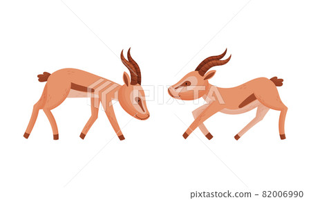 Standing African Gazelle as Fawn-colored Antelope Species with Curved Horn Vector Set Standing African Gazelle as Fawn-colored Antelope Species with Curved Horn Vector Set 82006990