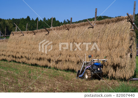 Rural scenery, dried rice rack 82007440