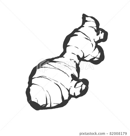 姜手繪毛筆繪畫風格插畫 82008179