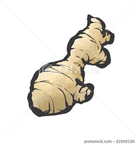 Ginger hand-painted brush painting style illustration 82008180