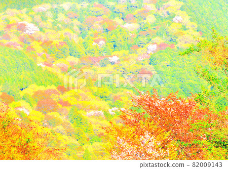 Mountain Mountain 82009143