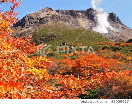 Autumn leaves of Mt. Nasu (Magadaira) Autumn leaves of Mt. Nasu (Magadaira) 82009417