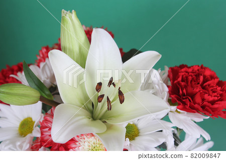 White Easter Lily Closeup on blue Shallow DOF 82009847