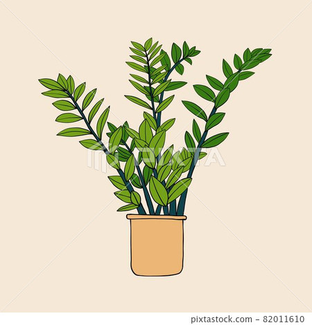 Simplicity zanzibar gem plant simplicity freehand drawing flat design. 82011610