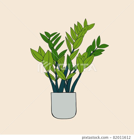 Simplicity zanzibar gem plant simplicity freehand drawing flat design. 82011612