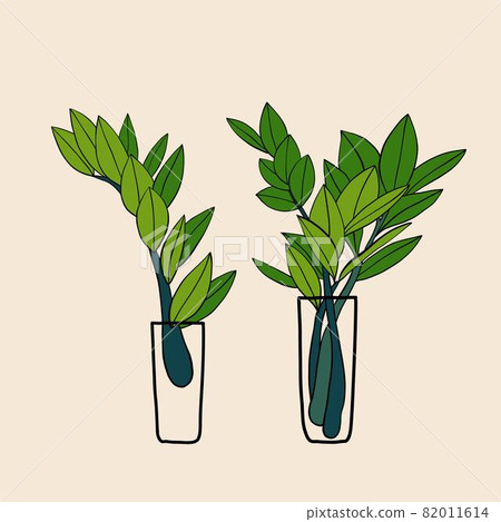 Simplicity zanzibar gem plant simplicity freehand drawing flat design. 82011614