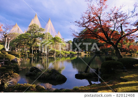 兼六園 唐崎松霞池 根上松 兼六園 唐崎松霞池 根上松 82012408